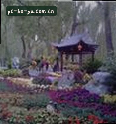 孙丽